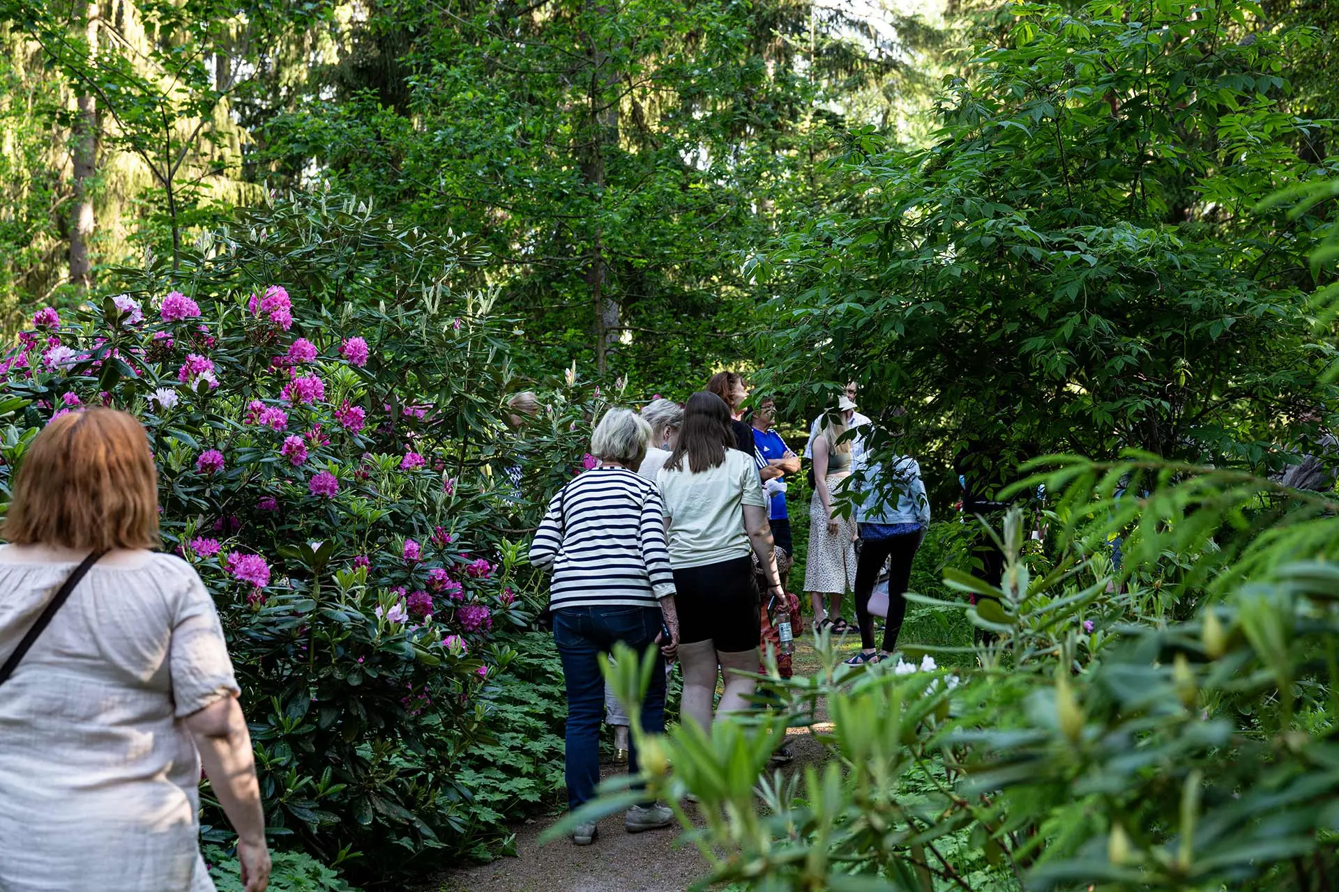 Retkeläiset luonnon keskellä Arboretum Frickissä Kangasalan Liuksialassa.