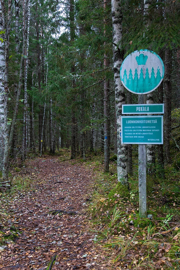 Pukalan luonnonhoitometsän polku.