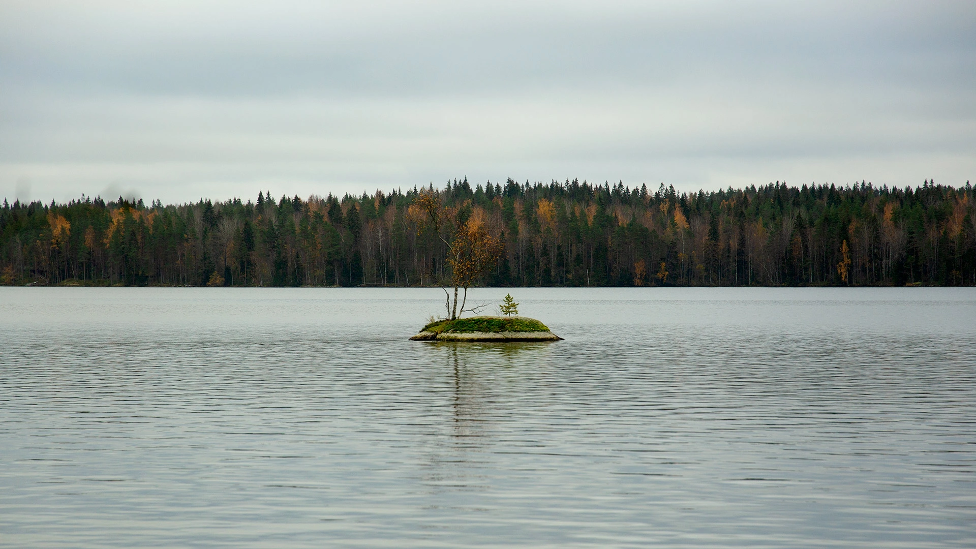 Yksinäinen pieni kalliosaareke Pukalajärven keskellä.