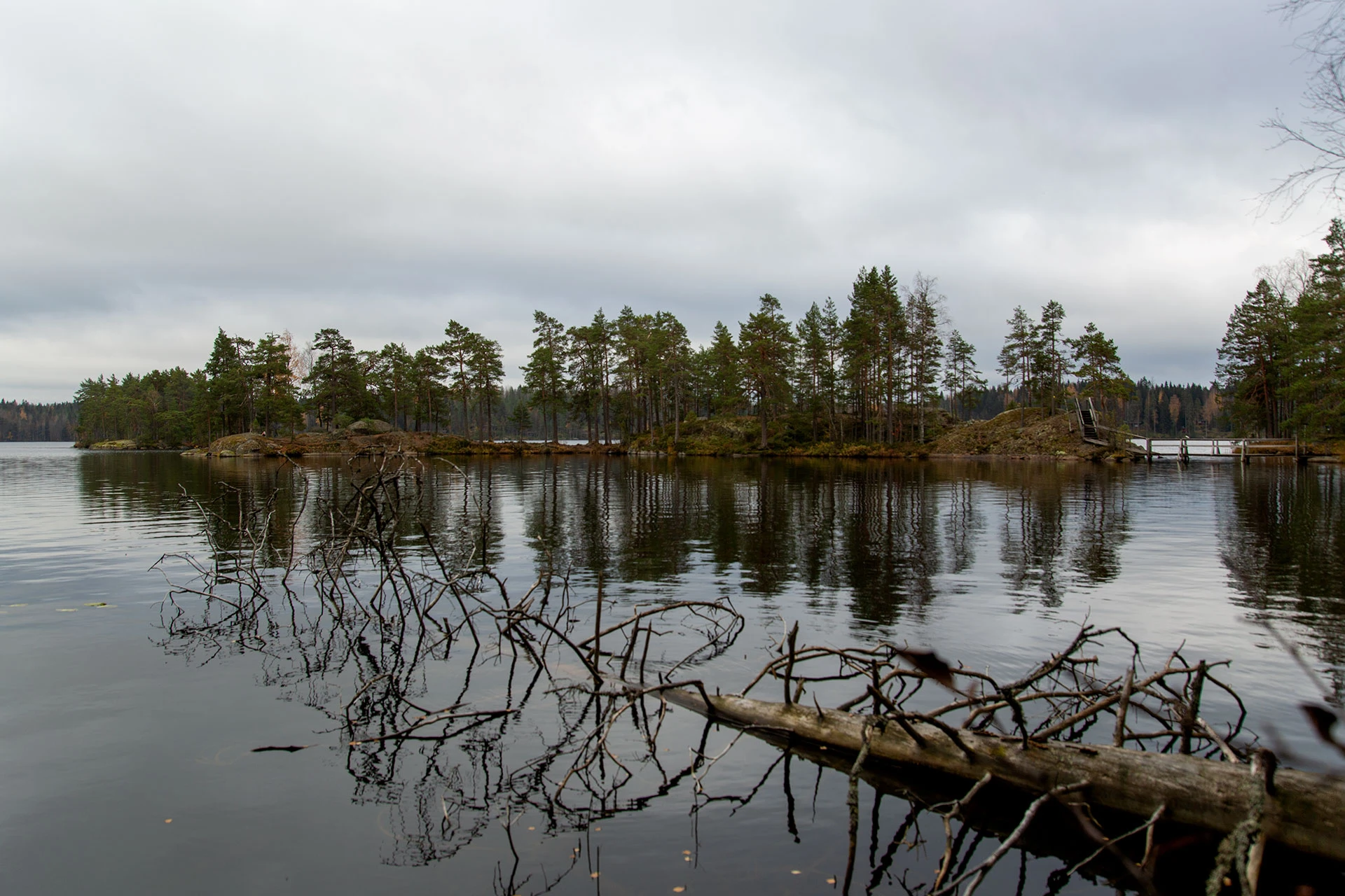 Pukalajärven saaristoa ja kelottunut puiu järvessä.