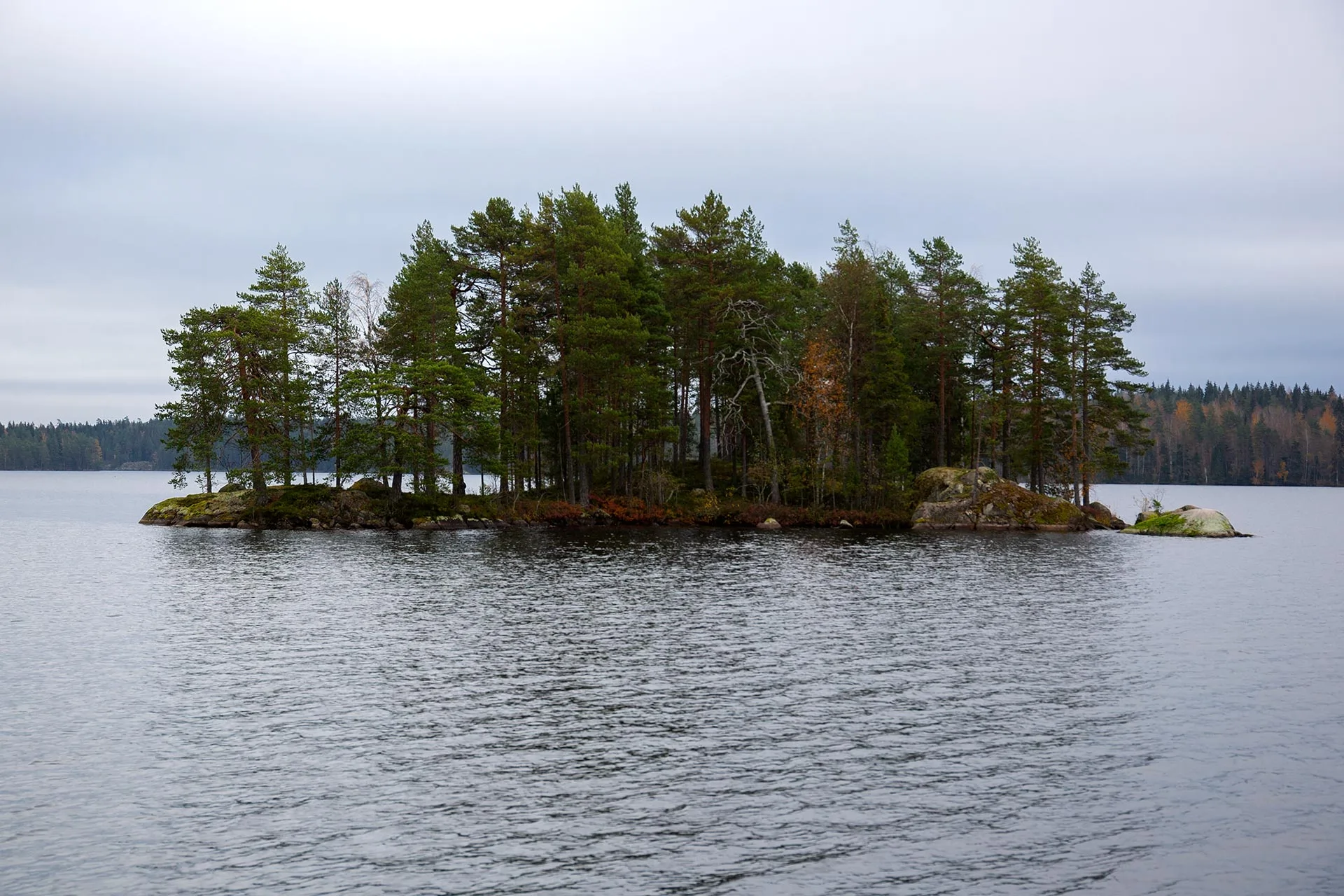 Yksi Pukalajärven saarista.