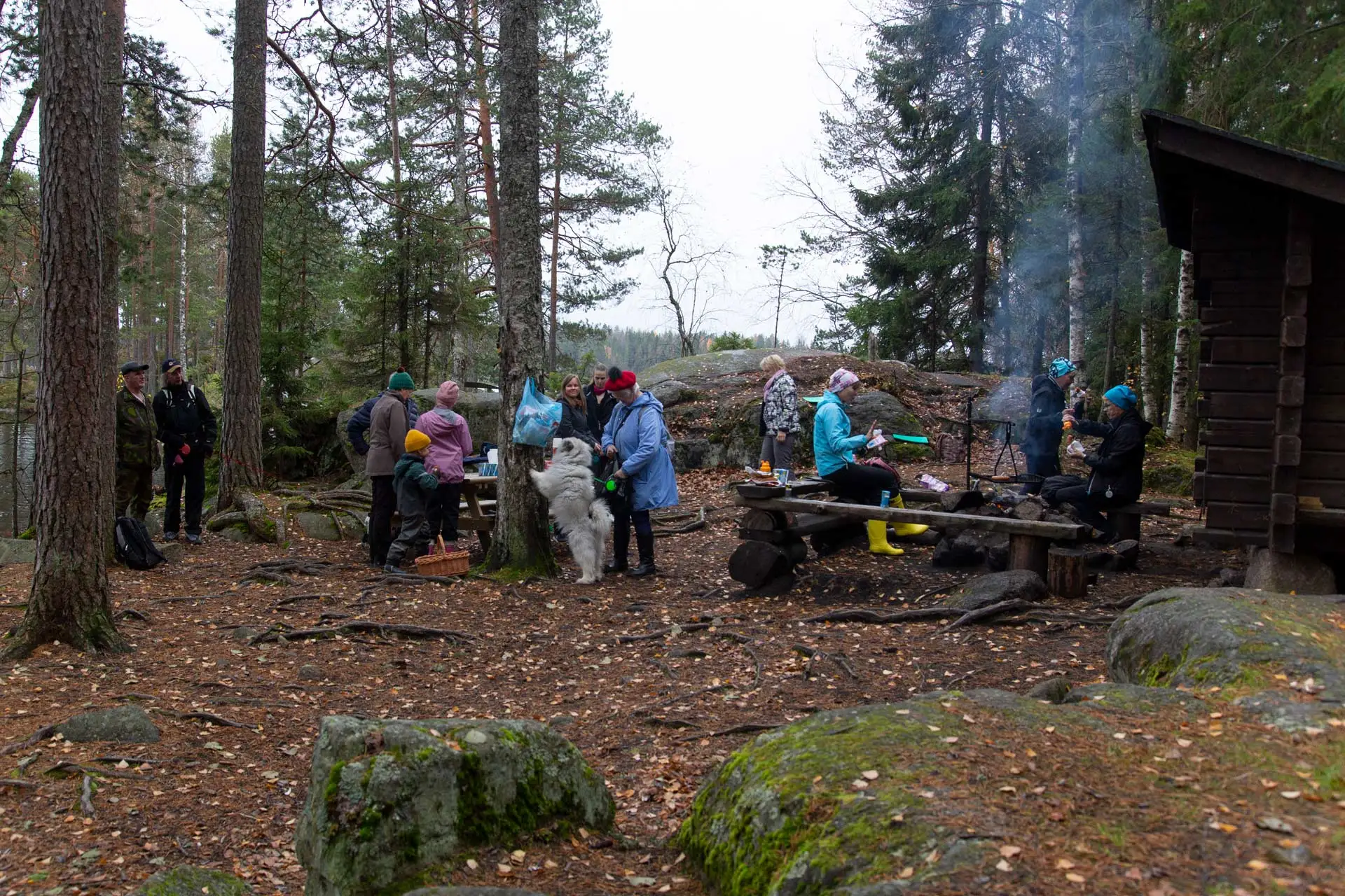 Luontoretkellä Pukalassa Roninmaan laavulla.