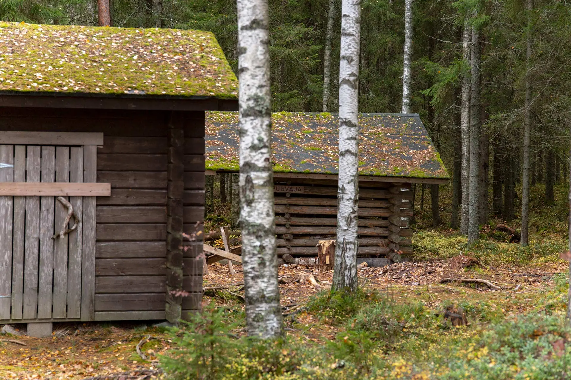Laavun läheisyyden latorakennuksia.