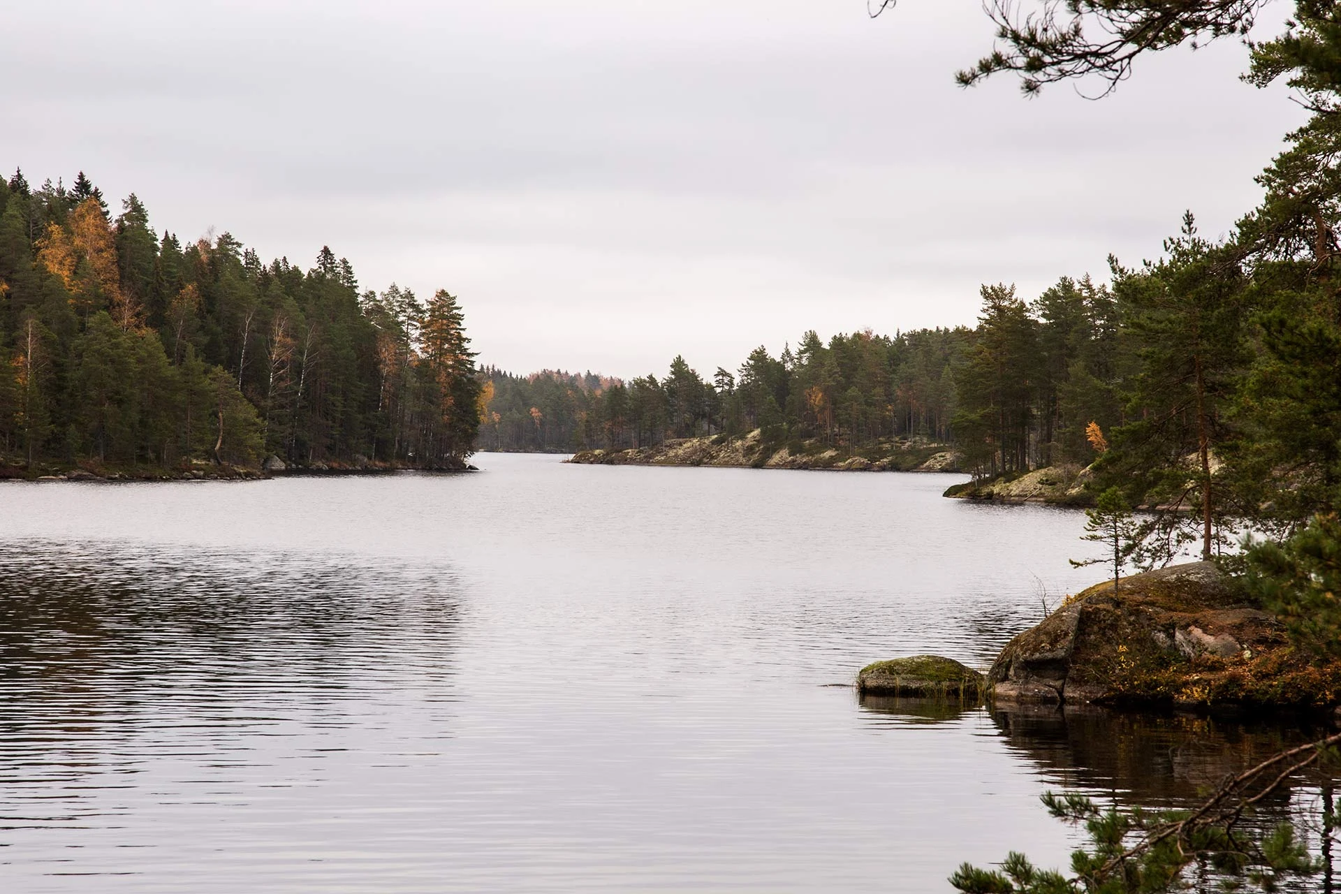Pukalajärven saaristoa.